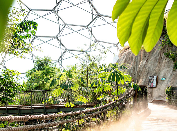 Inside the biomes at the Eden Project 